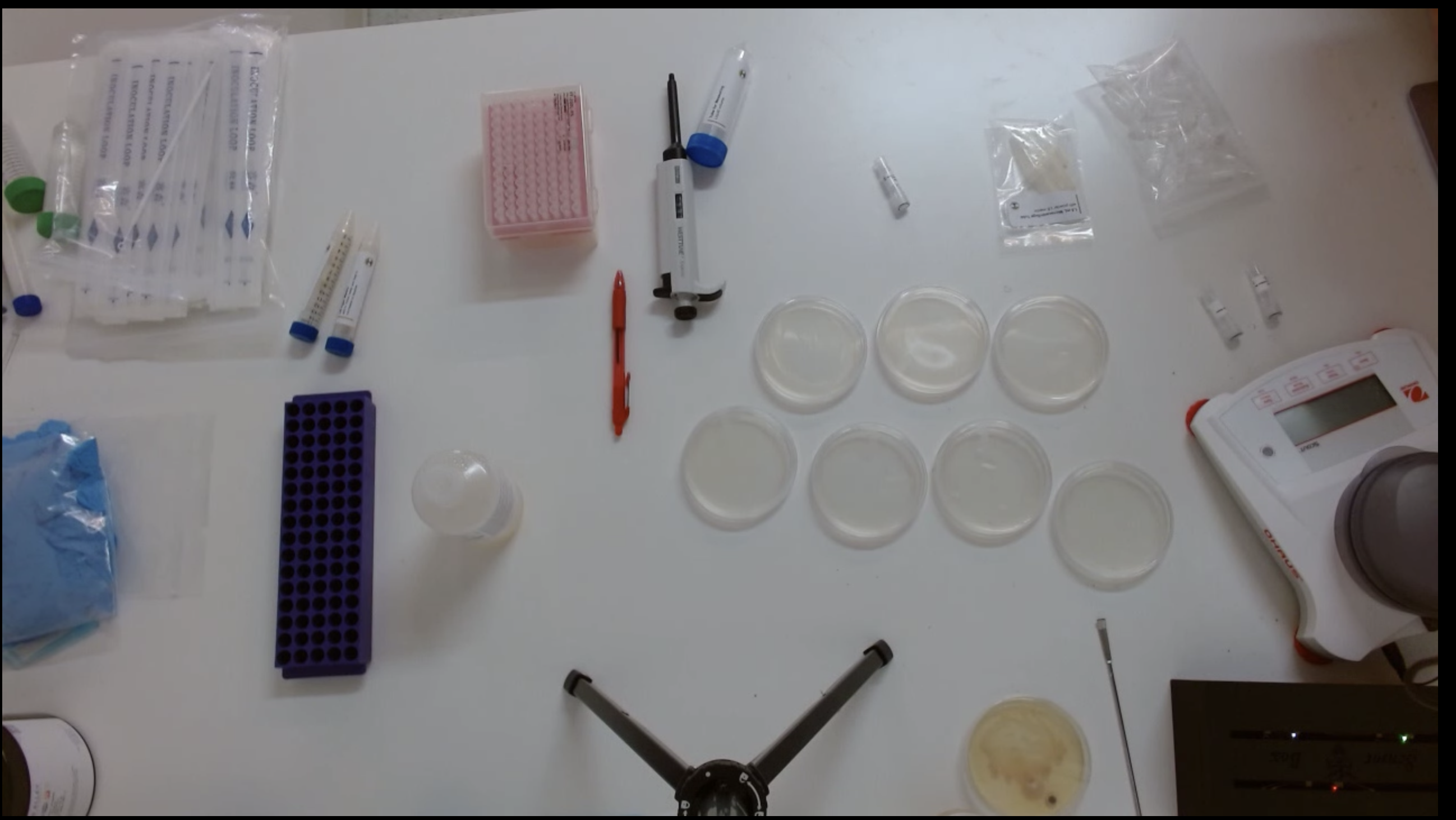 Overhead camera view of a real lab bench observed by Arche Vision — petri dishes, pipettes, tube racks, and a precision scale
